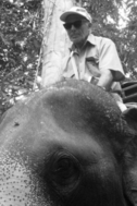 Залесский Лев Борисович: книга 'Мой путь', глава 'Часть 24' фотография: Лев на слоне. Остров Чанг, Тайланд. 2012 год.